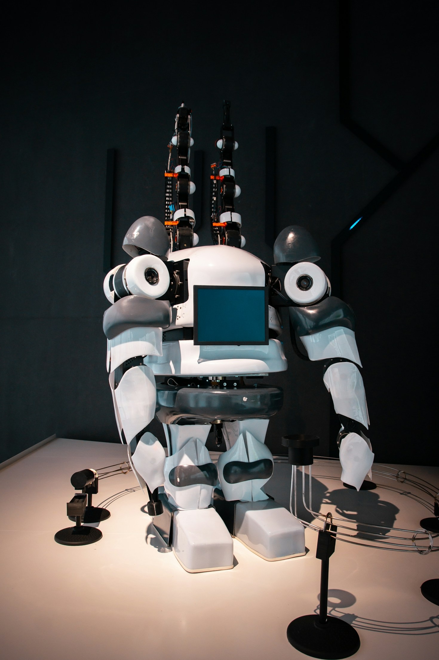 Humanoid Robots: Bridging the Gap with Appliances